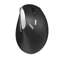 Rapoo EV250