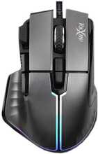 Foxxray WarEnd