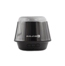 Evelatus ESP01