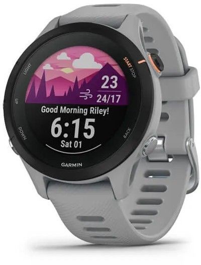 GARMIN FORERUNNER 255S グレー Garmin Forerunner 255S Basic kaina | Kaina24.lt