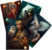 Kortos AGM The Phoenix