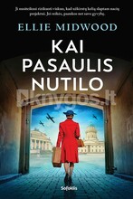 Kai pasaulis nutilo
