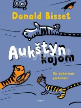 Aukštyn kojom