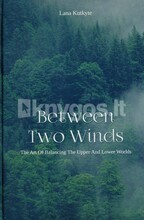 Between Two Winds