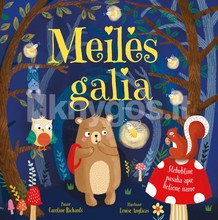 Meilės galia