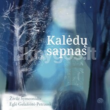 Kalėdų sapnas