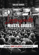 Liepsnojantis miesto sodas