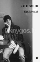Traukinys M