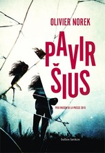 Paviršius
