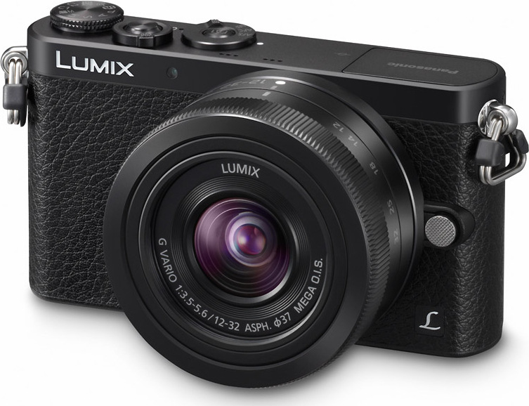 Panasonic Lumix DMC-GM1 kaina | Kaina24.lt