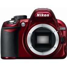 Fotoaparatas Nikon D3100