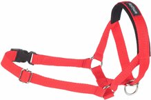 Apynasris Amiplay Basic, L, raudonas