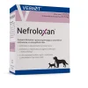 Nefroloxan, 60 kapsulių