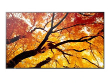 Sharp MultiSync M552