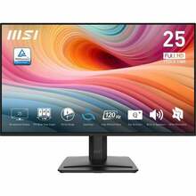 Monitorius MSI Pro MP251