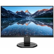 Monitorius Philips 252B9