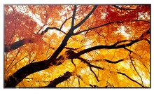 Monitorius Sharp MultiSync M502