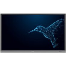Monitorius Avtek 5 Lite 55