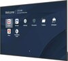 ViewSonic CDE8614-2C